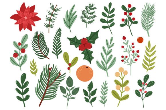 Christmas Botanical Elements: Illustrations for Festive Design