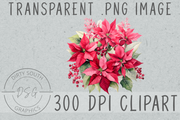 Christmas Poinsettia Arrangement: Premium Illustrations