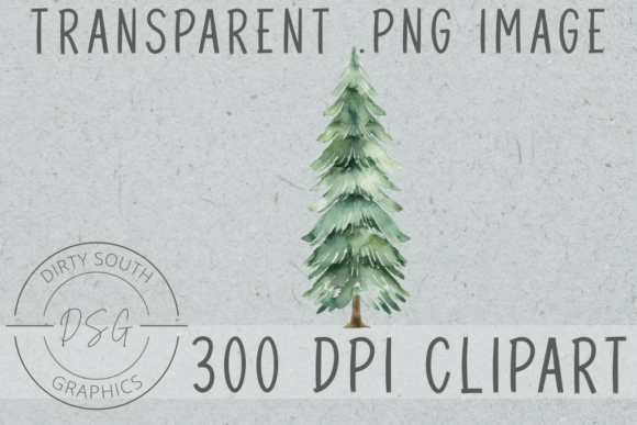 Watercolor Pencil Christmas Tree Illustrations